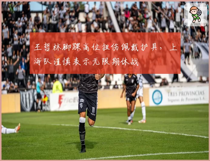 王哲林脚踝高位扭伤佩戴护具,上海队谨慎表示无限期休战