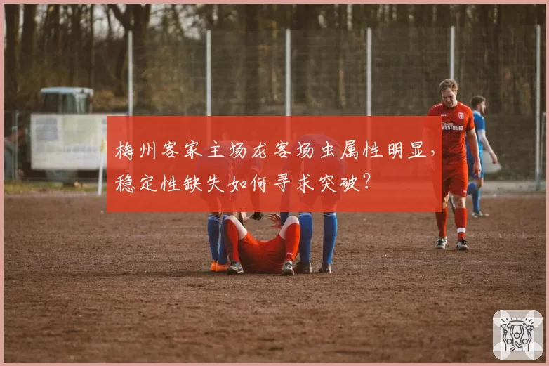 梅州客家主场龙客场虫属性明显，稳定性缺失如何寻求突破？
